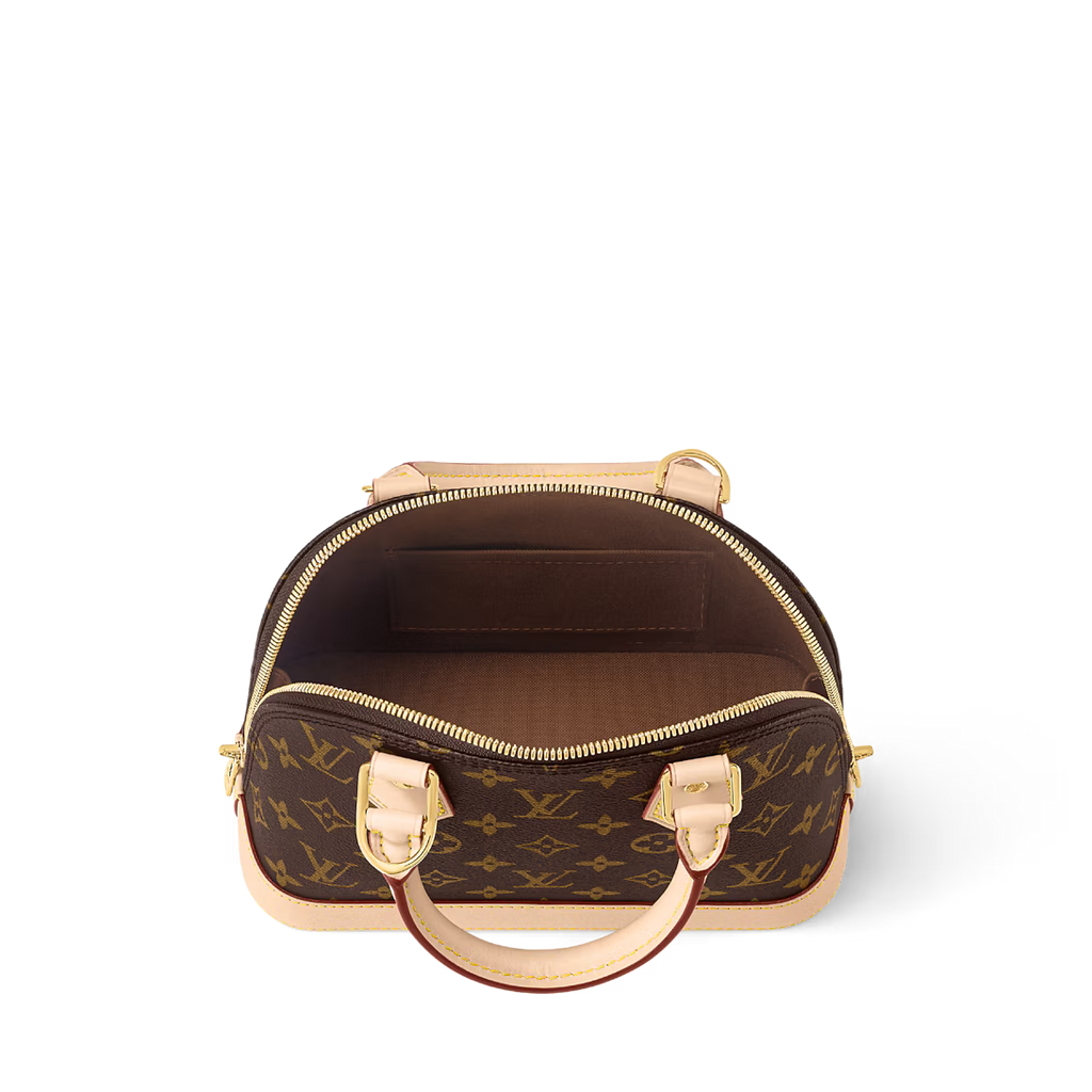 womens LV purse