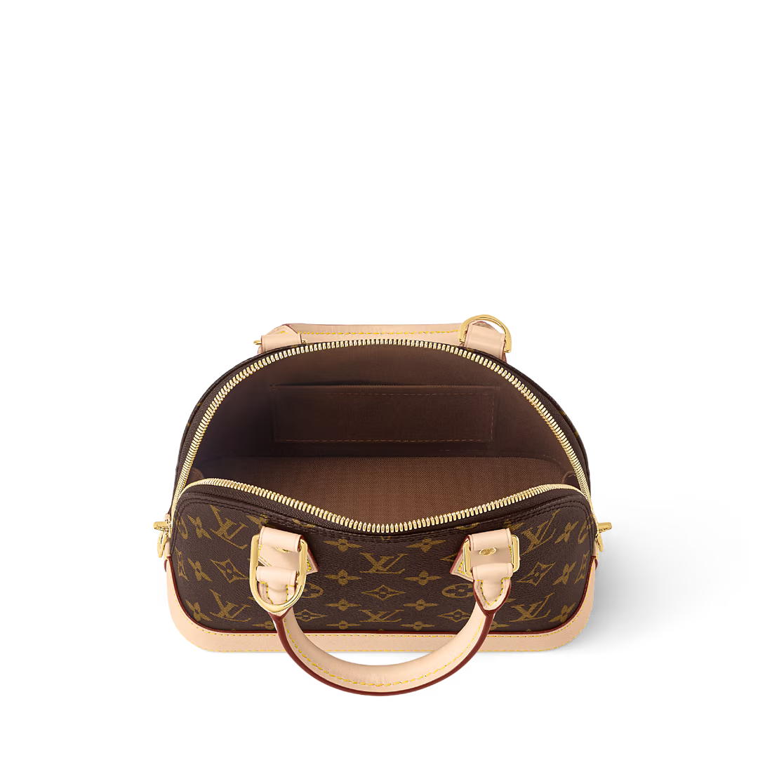 womens LV purse